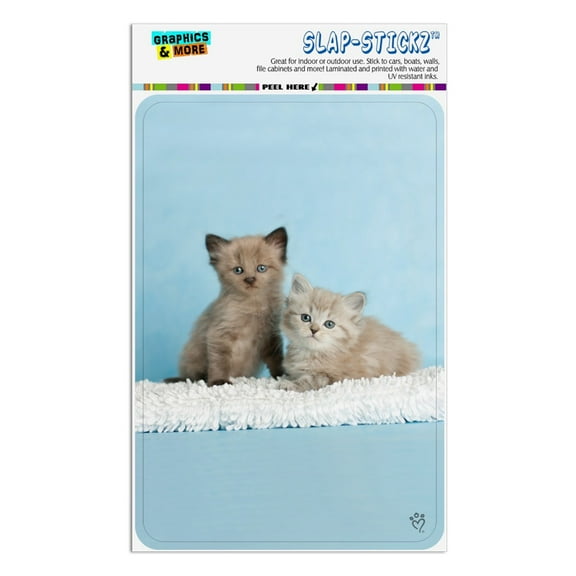 Ragdoll and Tiffany Kitten Cat Friends Home Business Office Sign