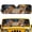 Cartoon Tropical Tigers Pattern, variant on Pzuqiu 52.95" x 16.14" Keep Vehicle Cool Windshield Sun Shade, Foldable Windshield Sun Shield for Off-road Interior Auto, US Flag Eagle