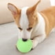 thumbnail image 4 of Pelota elástica segura para perros y mascotas, juguete de goma para entrenamiento de dientes molares, juego interactivo, 4 of 8