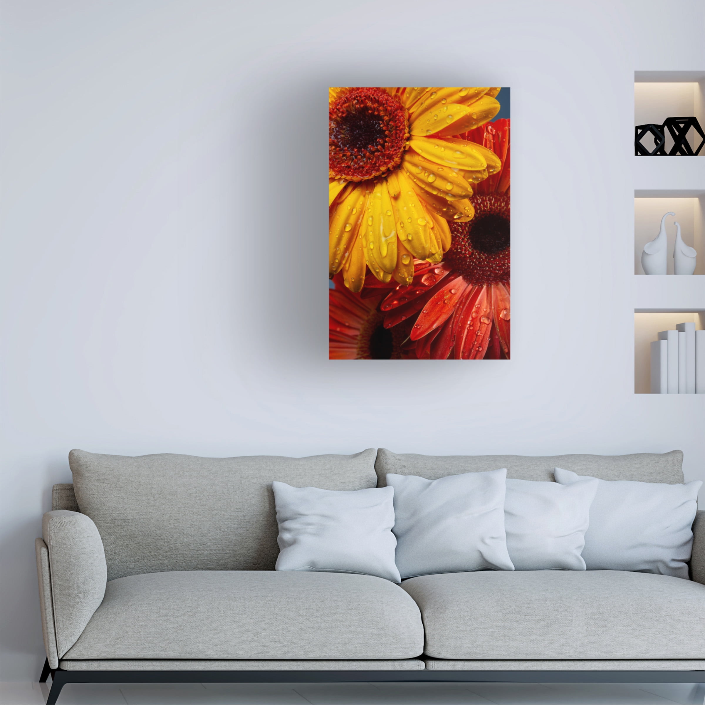 engin akyurt 'Gerbera flowers and water drops' Canvas Art