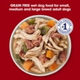 thumbnail image 4 of Nature's Recipe Grain Free Chicken & Beef in Savory Broth Wet Dog Food, 2.75 oz Cup, 4 of 13