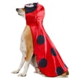 thumbnail image 2 of Rubies Ladybug Pet Costume for Dogs or Cats, Large, 2 of 7