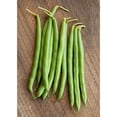 thumbnail image 2 of TomorrowSeeds - Burpee Stringless Green Bean Seeds - 90+ Count - For 2026 Planting USA Garden, 2 of 9