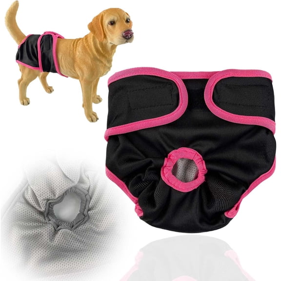 Female Dog Diapers Cat Waterproof Leak Proof Washable Panties Reusable for Small Medium and Large Pets No Pad,XL
