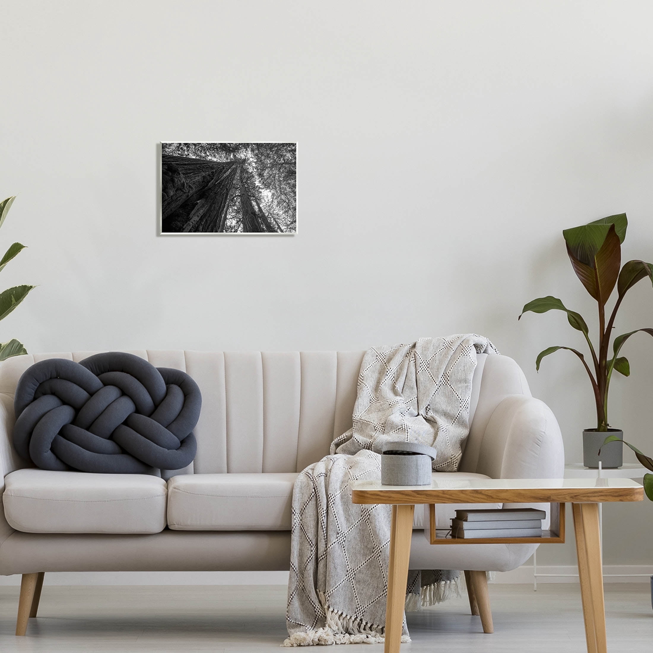 Stupell Industries Sky High Tree Looming Photograph Unframed Art Print Wall Art, Design by Aaron Matheson