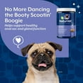 thumbnail image 5 of NaturVet No Scoot for Dogs Plus Pumpkin, Supports Digestion, Healthy Anal Gland & Bowel Function, 120 Soft Chews, 5 of 9