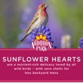 thumbnail image 3 of Semilla para aves silvestres Audubon Park Corazones de girasol 6,8 kg, 3 of 8