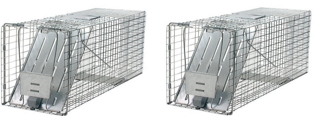 Trap 1 Door Animal Large Raccoons Cats Humane Groundhogs 1079 Havahart Cage  Live