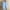 A-Light blue, variant on Clearance Under $10 3/4 Length Sleeve Plus Size Womens Dressy Casual Spring Summer Linen Dandelion Graphic Print Crewneck Vintage Tops Blouses Shirt for Women