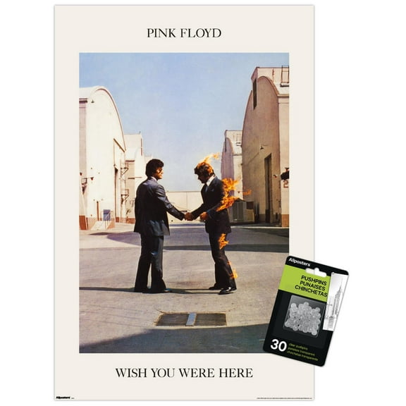 Pink Floyd - We Wish You Were Here Wall Poster with Push Pins, 14.725" x 22.375"