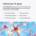 thumbnail image 3 of Mind Lab Pro® MLP® v4 Universal Nootropic™ Brain Booster Supplement for Focus, Memory, Clarity, Energy - 60-Count - Plant-Based, Naturally Sourced Memory Vitamins for Better Brain Health, Made in USA, 3 of 13