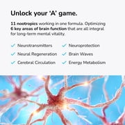 Mind Lab Pro® MLP® v4 Universal Nootropic™ Brain Booster Supplement for Focus, Memory, Clarity, Energy - 60-Count - Plant-Based, Naturally Sourced Memory Vitamins for Better Brain Health, Made in USA