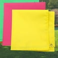 BETOR Horse Training Flag Conductor Flag Equestrian Flag For Horse