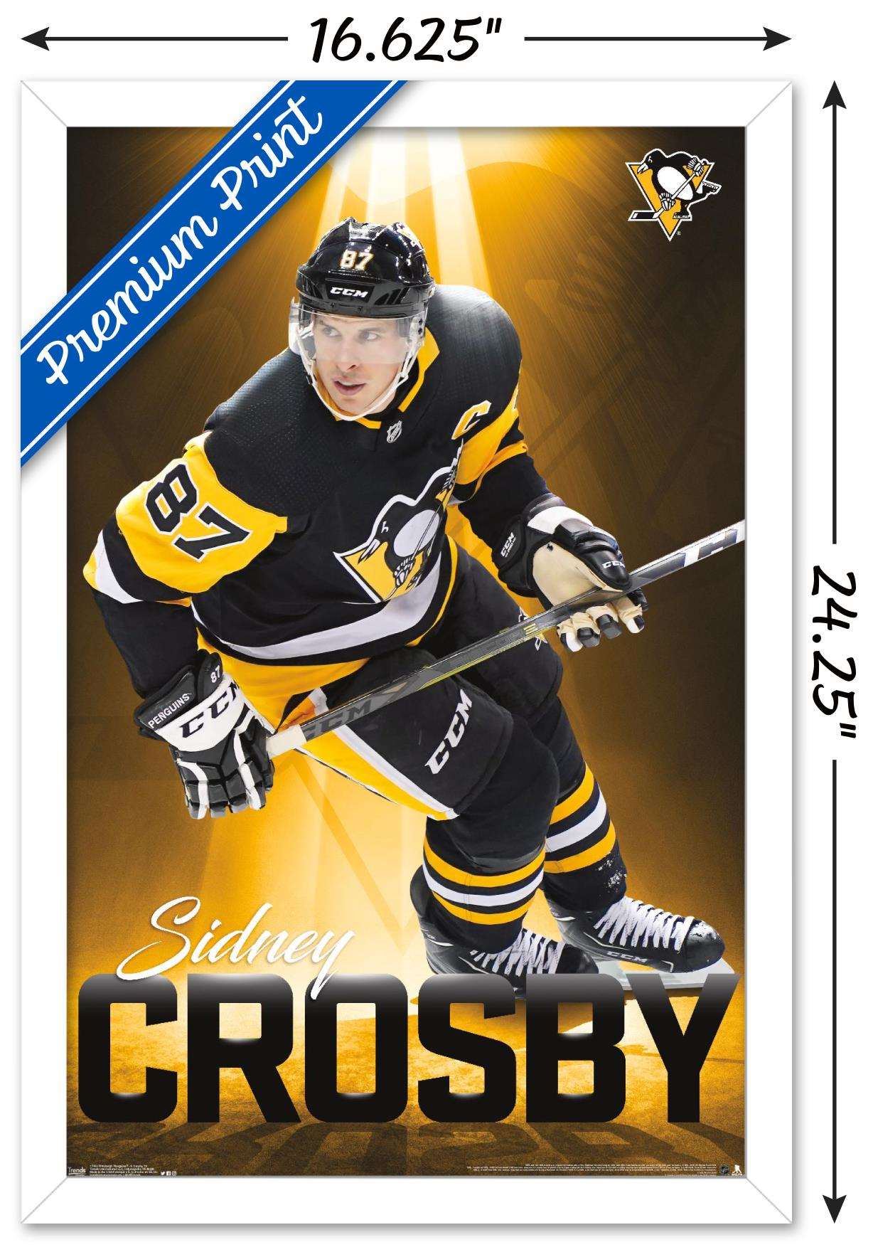 NHL Pittsburgh Penguins - Sidney Crosby 18 Wall Poster, 14.725" x 22.375", Framed