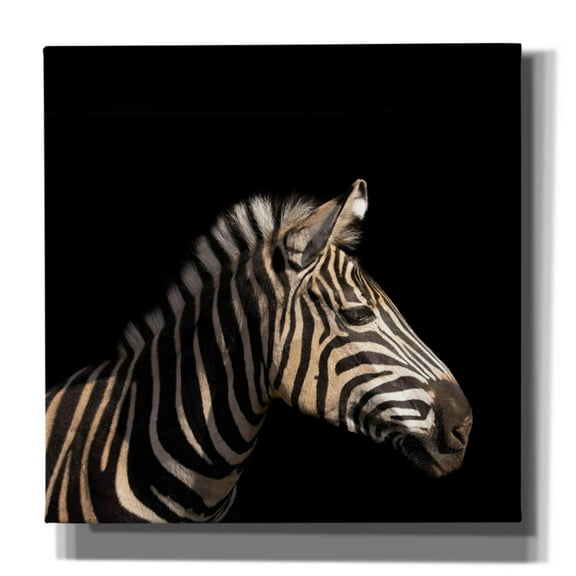 Epic Graffiti 'Zebra' by Epic Portfolio Giclee Canvas Wall Art, 26"x26"