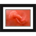 thumbnail image 1 of Murdock, Ramona 32x23 Black Ornate Wood Framed with Double Matting Museum Art Print Titled - Peach Begonia Up Close, 1 of 4