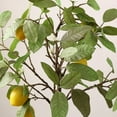 thumbnail image 3 of SAFAVIEH Faux 35 Inch Lemon Potted Tree, White, 3 of 5
