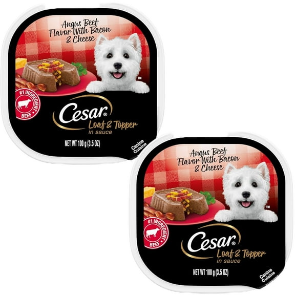 CESAR Adult Wet Dog Food Loaf & Topper in Sauce Angus Beef Flavor with Bacon & Cheese, 3.5 oz. Easy Peel Trays, Pack of 2
