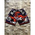 thumbnail image 1 of Mcgee'S Raptors Retro Embroidered Zipper Pocket Shorts Basketball Embroidered Shorts, 1 of 2