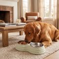thumbnail image 3 of ICQOVD Stainless Steel Double Pet Bowl Set Food and Water Feeder with Non Slip Base Large Capacity Durable Feeding Bowl 9.84x5.31x1.77IN, 3 of 7