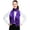 Purple, variant on Women's Silk Feel Solid Color Satin Striped 13" x 60" Fashion Shawl Scarf