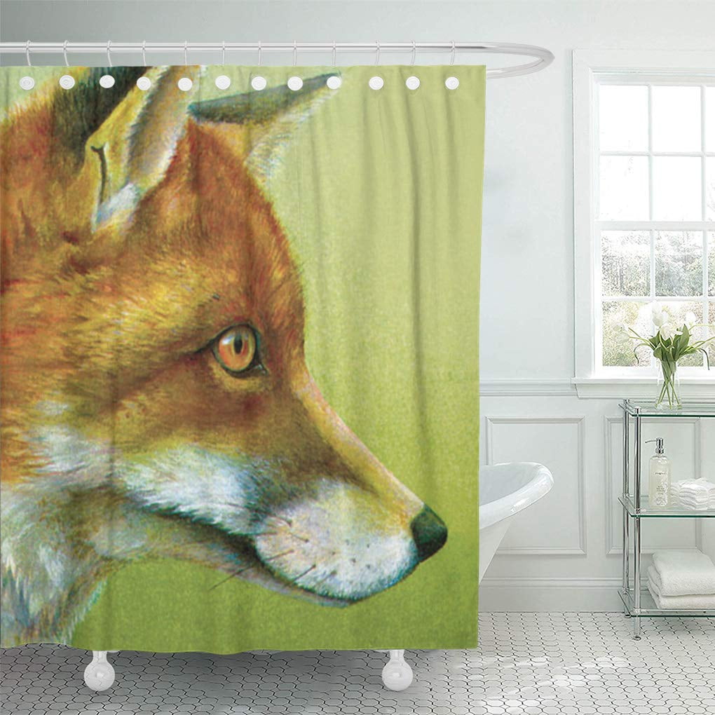 Cynlon Painting Portrait Of Fox Mammal Wildlife Bathroom Decor Bath Shower Curtain 60x72 Inch Walmart Com Walmart Com