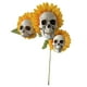 thumbnail image 1 of Adornos De Esqueleto De Girasol De Halloween Adornos De Girasol Diy Para Decoración De Halloween Advancent HA036845-00, 1 of 6
