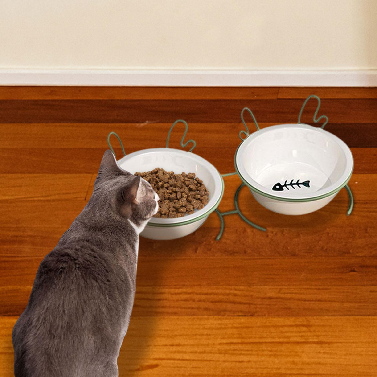 Raised Cat Bowl, Tilted Elevated Cat Bowl Pets Supplies Food Container Elevated Tilted Elevated Cat Food Bowl Pet Food Bowl for Cats Dogs Double Bowl
