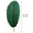 thumbnail image 3 of Blackish Green Ostrich Feathers Bulk- 24pcs 10-12inch for Wedding Party Centerpieces Christmas Decor, 3 of 14