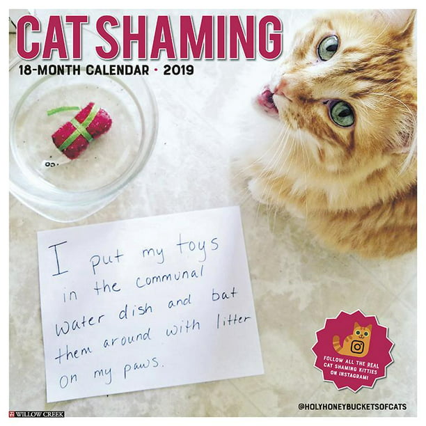 cat-shaming-2019-wall-calendar-other-walmart-walmart