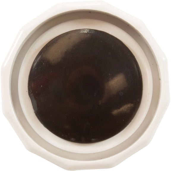 Cleaner Presure Relief Valve (Polaris)