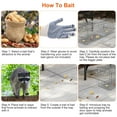 thumbnail image 2 of 24" Humane Live Animal Trap Cage Heavy Duty Live Raccoon Trap Outdoor for Stray Cats Squirrel Skunk Groundhog and More Catch and Release(2 Pack), 2 of 9