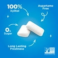 thumbnail image 5 of PUR Gum, Aspartame Free, Sugar Free & 100% Xylitol, Peppermint Chewing Gum, 9 Pieces, Pack of 12, 5 of 6