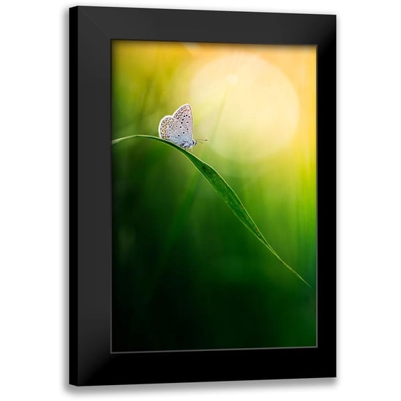 Daalder, Bob 11x14 Black Modern Framed Museum Art Print Titled - Wisdom
