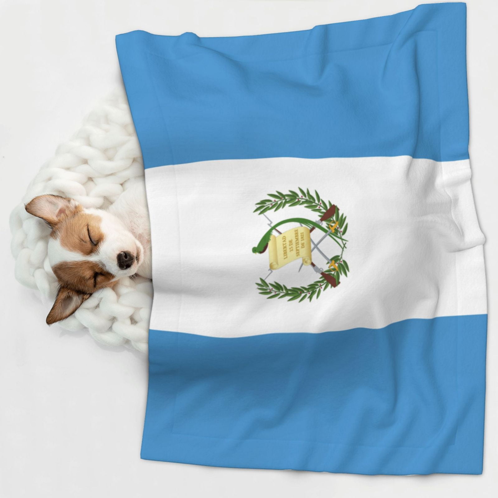 Flannel Throw Dog Blanket Flag Of Guatemala Soft Warm Print Pet Blankets for Small Dog Cat Puppy