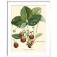thumbnail image 2 of Art.com Bessa Strawberries Art Print by Bessa, White Frame Wall Art, 23" x 29", 2 of 5