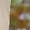 Beige, variant on AKEGAMN Fashion Casual Slit with Pocket Cotton Linen Loose Shorts, Black S-XXL