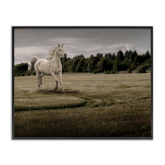 Stupell Industries Southwestern Galloping Through Field Horse Black Framed Giclee Art, 14 x 11, by Marcus Prime