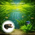 thumbnail image 3 of Aquarium Fish Cave Decor, 8.3 in Resin Hollow Tree Trunk Hideout, Natural Color Tank Ornament for Betta Fish and Shrimp, 3 of 8