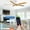 E-WH-56 inch, variant on Wellspeed 52 in. Modern Ceiling Fan with Dimmable Light, for Indoor, Remote Control, 6 Speeds Reversible DC Motor, Black