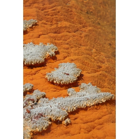 November 2007 - Orange coloration in Champagne Pool hot spring Wai-O-Tapu Geothermal area Taupo Volcanic Zone New Zealand Poster