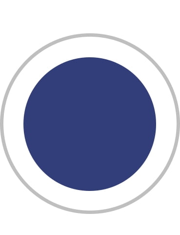 Larkspur Blue