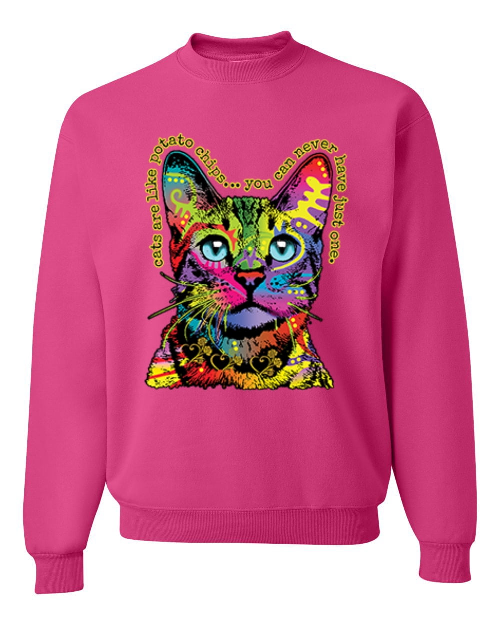 rainbow cat sweatshirt