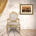 thumbnail image 3 of Ditto, Larry 18x13 Gold Ornate Wood Framed with Double Matting Museum Art Print Titled - Northern Bobwhite-Colinus virginianus-drinking, 3 of 4