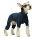 thumbnail image 3 of Jersey Fitwarm para perro, cuello alto, tejido, azul térmico, talla pequeña, 3 of 7