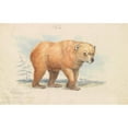 thumbnail image 3 of Charles Hamilton Smith 14x11 Black Modern Framed Museum Art Print Titled - The Brown Bear (1837), 3 of 5