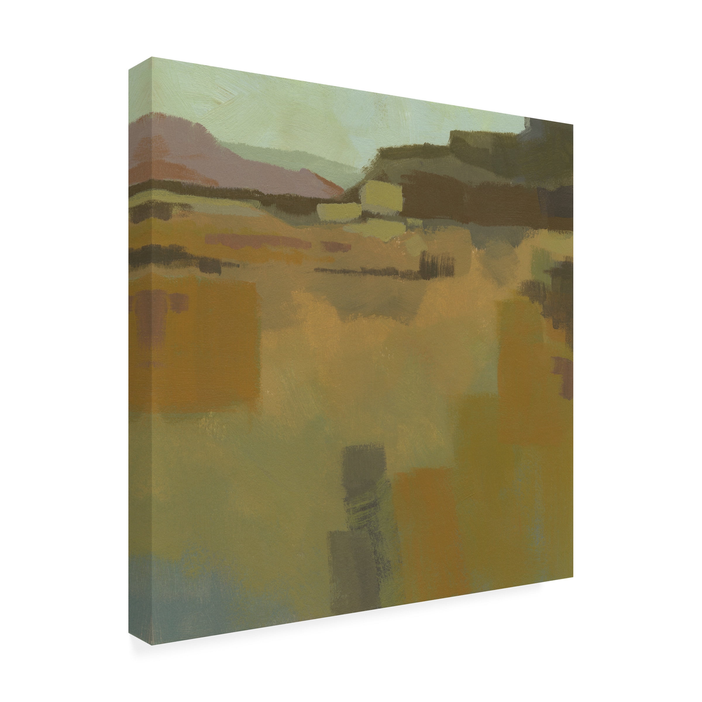 Jacob Green 'Mountain Meadow I' Canvas Art