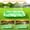 Green, variant on Inflatable Tanning Pool Lounger Float with Sprinkler, 77" x 48" Pool Floats Adult with Pillow, 6 in 1 Suntan Tub Raft Floatie with Drink Holder Sunbathing Water Lounge