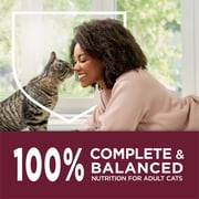 Purina Cat Chow Healthy Aging 7+ Senior Dry Cat Food, Chicken, 3.15 lb. Bag