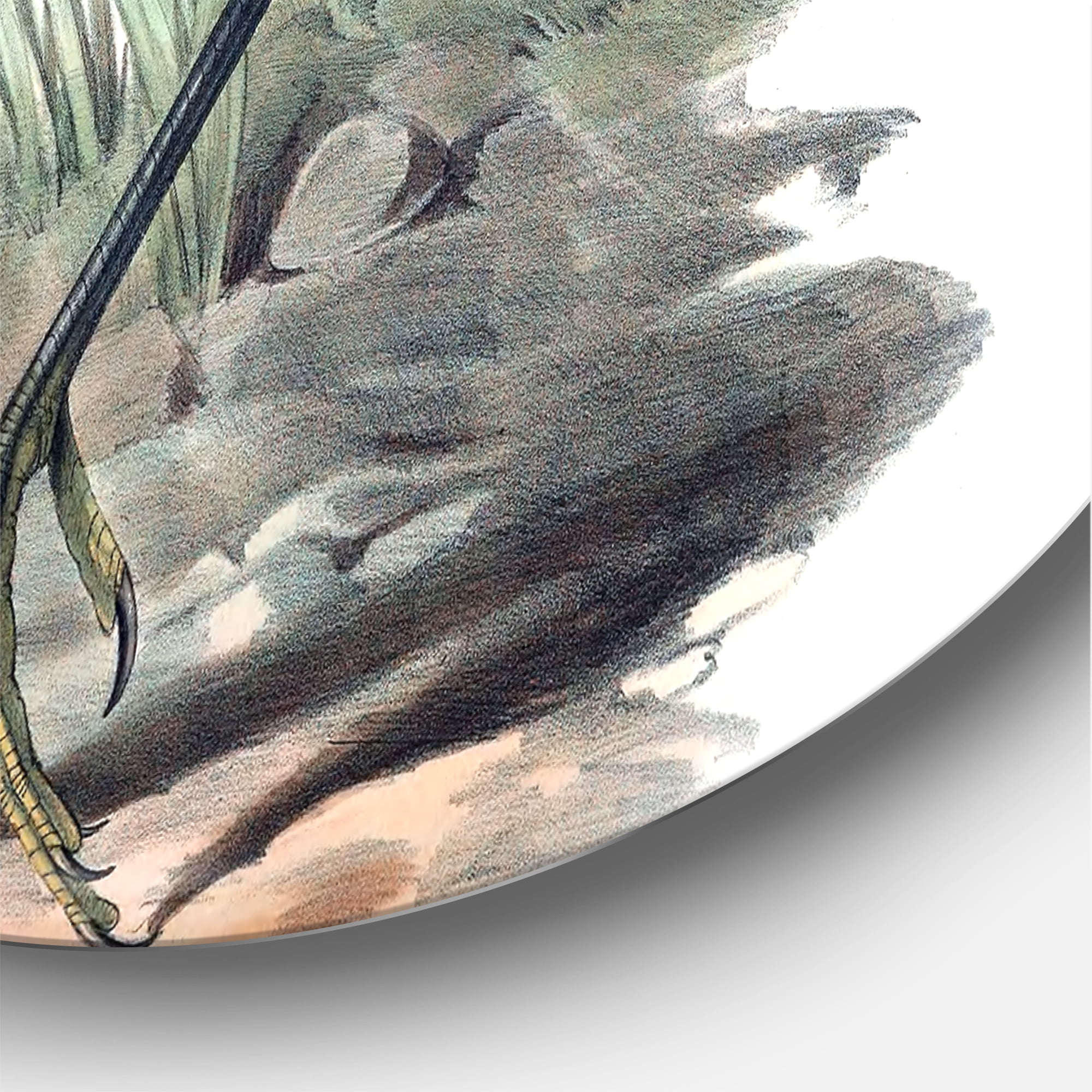 Designart 'Ancient Australian Birds III' Traditional Circle Metal Wall Art 36x36 - Disc of 36